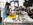 Painting & Drawing Class